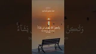 انك لا تهدي من أحببت و لكن المنشاوي قرآن كريم قران تلاوات مصر النهاردة العراق مصر القصص 