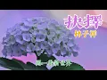 抉擇 (主題曲) 主唱 林子祥