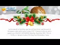 Christmas invitation cards words ideas Christmas party invitations wording