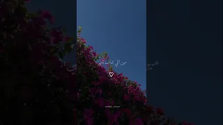 مين اللي شاف قلبي ويعرف اللي فيه تصميمي Foryou حالات واتس بتاعedit 