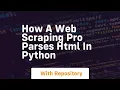 How a web scraping pro parses html in python
