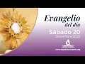 Evangelio de hoy l 20 de diciembre de 2025 l  Feria de adviento I Lucas 1, 26-38