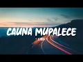 Download Lagu cauna mupalece | lirik | Voc. wiwi anjani | lagu bugis viral tiktok