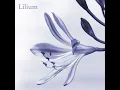 Lilium