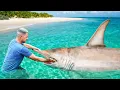 Download Lagu I Found The SEA MONSTER