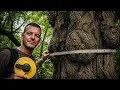 Learn this tree ageing hack and amaze your friends