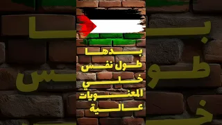 عشت أسبوع زي اخواتنا   الجزء الاول دندنها