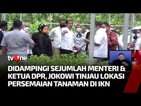 Presiden Jokowi & Sejumlah Menteri Berkunjung ke IKN, Tinjau Lokasi Persemaian Tanaman