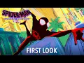 Video di SPIDER-MAN: ACROSS THE SPIDER-VERSE (PART ONE) – First Look