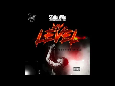 Download MP3 Shatta Wale - My Level (Audio Slide)