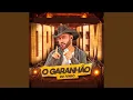 Download Lagu Todo Tempo É Pouco pra Te Amar/Ela Vai Voltar