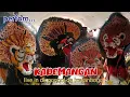 Download Lagu super meriah‼️perfom KADEMANGAN | live in dk. poncol ds. krajanbogo bonang