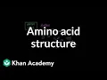 Amino acid structure Chemical processes MCAT Khan Academy
