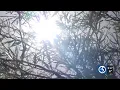 First Alert Weather Extra More than 80 million Americans under heat alert
