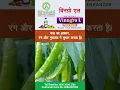 Lagu VINNGRO L DINESH KUMAR MB7223075616