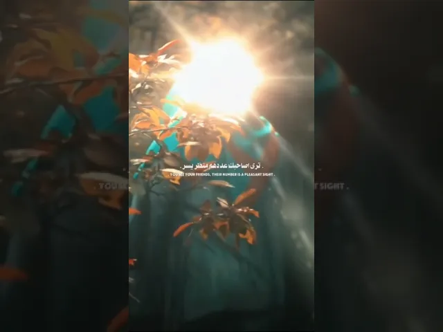 #ستوريات_انستا  اللهم عجل لوليك الفرج قريب منك يا رب العالمين