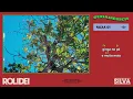 SUDAMÉRICA - Silva