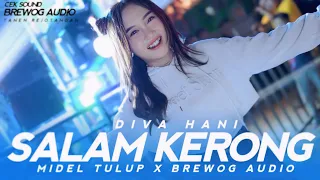 diva hani dj salam kerong middle nrotok x brewog audio i barakat music