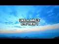 Jamie MacDonald - BORN TO FLY (Lyrics)