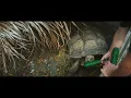 The Python Hunt Exclusive Clip