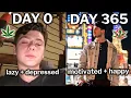 365 Days Without Weed The Most Successful Year of My Life