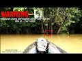 Download Lagu tak di sangka yang bersarang udang besar² di bawah pohon beringin | mancing udang galah