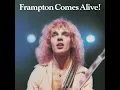 Do You Feel Like We Do (Live)