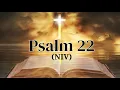 Psalm 22 NIV The suffering Savior