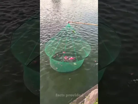 The old man broke the watermelon in the net #shorts #trending #fish