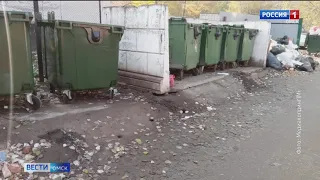 Центр Омска атаковали крысы