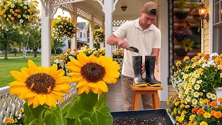 4 Yellow Flower Ideas That Will Bring Your Garden to Life!🌼🌼🌼