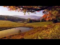 Download Lagu Klasik Müzik   Mozart  Dinlendirici Rahatlatıcı Sakinleştirici Müzikler  Ders Çalışma Müzikleri  Fon