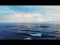 Shoreline I inola #music #cinematic #rest