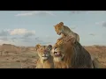 Papaoutai (Afro Soul) - The Lion King Cinematic Tribute (Fan Made)