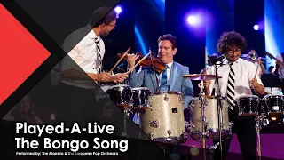 played a live the bongo song the maestro u0026 the european pop orchestra offiial music video