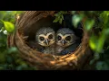 The Amazing Life Cycle of Owls Every Kid Should Know