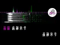 王心凌 《Bite Back》 Pinyin Lyrics 动态拼音歌词 4k