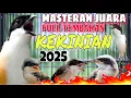 Download Lagu MASTERAN CENDET FULL TEMBAKAN PANJANG KEKINIAN MEWAH TERLENGKAP 2025