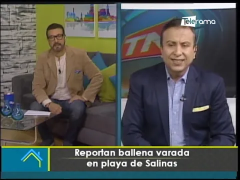 Reportan ballena varada en playa de Salinas