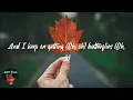 MAX ft. FLETCHER - Butterflies (Lyric video)