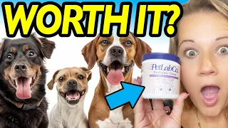 The Truth About Trying Petlab CO s Viral Probiotic Chews For Dogs