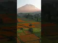 Download Lagu As Mount Agung towers in the distance, marigolds bloom in abundance. 📸: @antony_capox