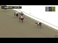 Taj Mahal - Dominating Maiden Win at Laurel Park