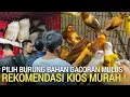 Lagu INI BARU OKE ! KIOS BURUNG REKOMENDASI DI BAHAN MURAH LOKAL DAN IMPORT PASAR BURUNG LEWAT DULU