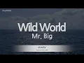 Download Lagu Mr. Big-Wild World (Karaoke Version)