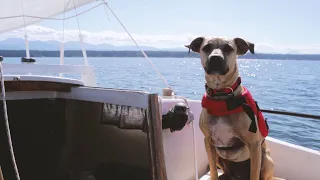 Lets Sail to Thetis Island – Sink or Swim 157