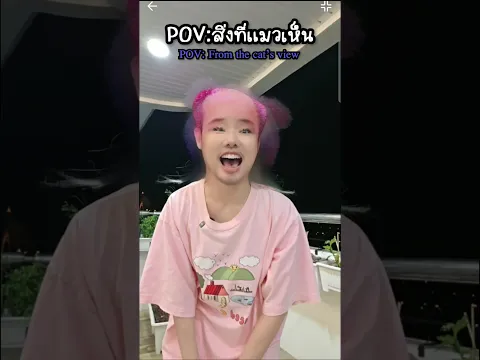 สิ่งที่เราเห็น vs สิ่งที่แมวเห็น ￼