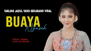 buaya ngosek voc sonia az music live ds ciseureuh