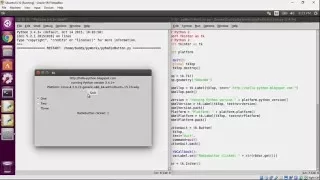 Python Tkinter Radiobutton
