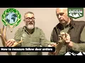 How to measure fallow deer antlers - CIC trophy measuring explained